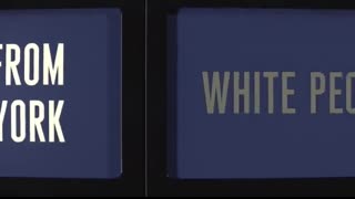 Black Jeopardy – SNL50