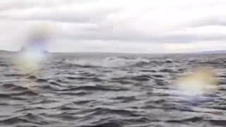 A humpback whale briefly swallows kayaker in Chilean Patagonia — and it's all captured on camera