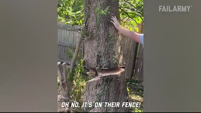 Best Of The Month   Try Not To Laugh