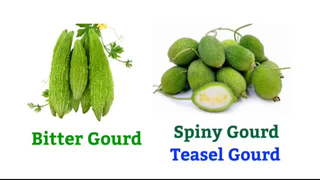 Vegetables Vocabulary ll 75+ Vegetables Name in English ll List of Vegetables