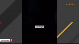 Rescue bird's heartwarming response when touched