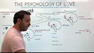 What is Love The Science Behind Lust, Attraction, and Attachment