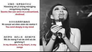 Qu Wanting曲婉婷 - Wo De Gesheng Li(You Exist In My Song) - 我的歌声里 - Pinyin Subs + English Translation