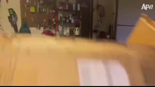 Real Life Fails ? Most Relatable Funny Videos