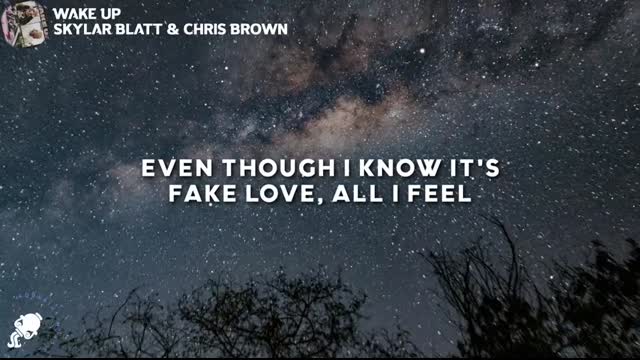 Skylar Blatt, Chris Brown - Wake Up (Lyrics)