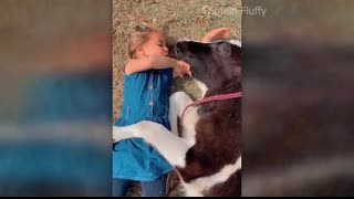 Cute and funny ANIMALS?Videos? Сompilation  # 3?