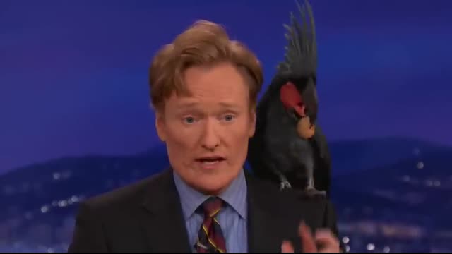 Animal Expert David Mizejewski Black Palm Cockatoo & Crocodile   CONAN on TBS