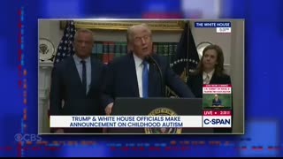 Jeffrey Epstein Trump's A Bad Guy    Bubba  Was Neither A Clinton Nor A Horse   Trump I Don't Care