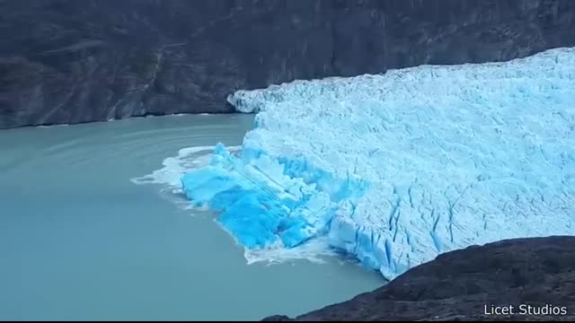 Craziest Nature Videos of the Decade