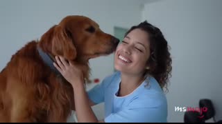 Top 10 Best Dog Breeds for Your First Dog