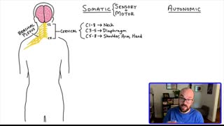 Spinal Cord Regions + What Each Region Controls