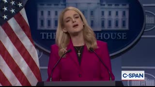 Epstein White House Briefing Cold Open - SNL