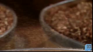 How Ice Cream Cones, Waffles, Peanut Butter & More Are Made   How It's Made   Science Channel