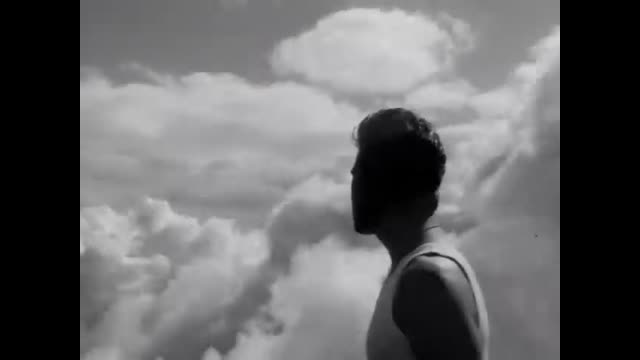 Wicked Game - Single Edit - Official Music Video