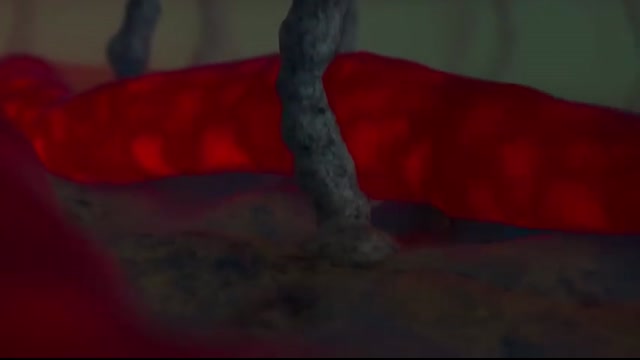 Human Nervous System (Part 2) - How the Brain Works! (Animation)