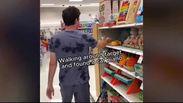 Best reactions of me playing on Toy Pianos