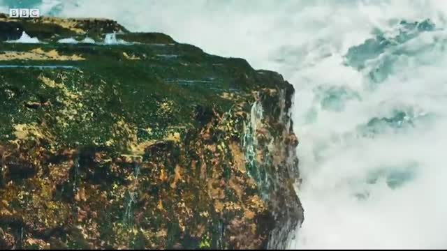 Crab vs Eel vs Octopus   Blue Planet II   BBC Earth