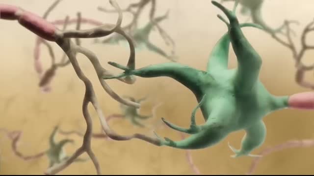 How a synapse works