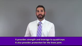 Patella Anatomy   Patella Kneecap Bone Review
