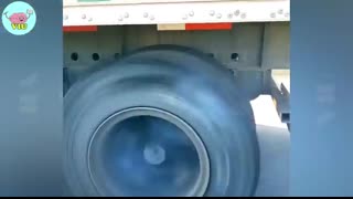 100 Incredible Moments Caught on Camera #16   Best of the Month