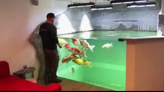 Building The Most Amazing Indoor Koi Pond With Fish  DIY