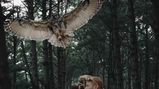 Most Dangerous Birds on Earth