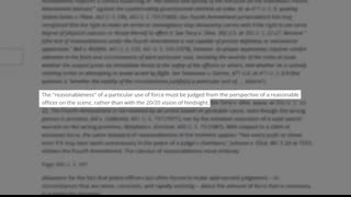 Female Cop Gets FIRED And SUED