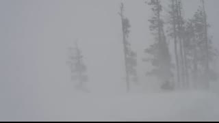 Massive Winter Storm Slams California - huge snow storm - Blizzard Conditions on Donner Pass - 2022
