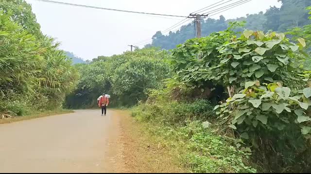 single mother left her child at home to buy bran and lost her child lytieusoa