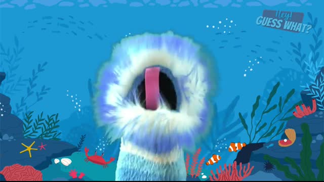 What is a Submarine (Fun Facts For Kids)