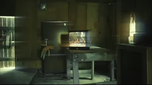 Hunting the thieves that stole from my family ($500,000 REWARD)