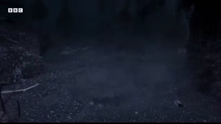 Horn Shark Escapes Being Eaten Alive   Planet Earth III   BBC Earth