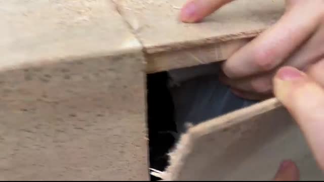 I bought a Bugatti from TEMU