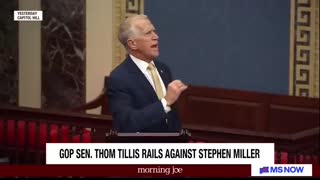 'Amateur hour is over' Republican senator rails against Stephen Miller over Greeland