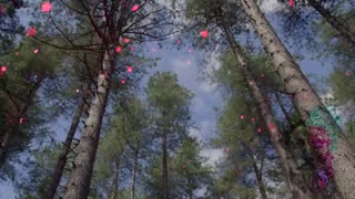 Build Strong Character - The Best Stoic Quotes