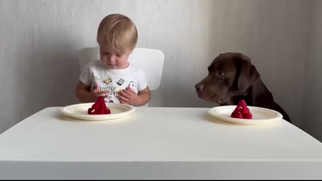 The FUNNIEST Talking Baby and Dog Moment Caught on Camera