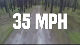 Gorilla VS Grizzly Bear - Who Would ACTUALLY Win