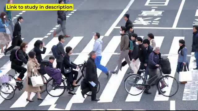 Crows VS Ravens   What Are The Differences