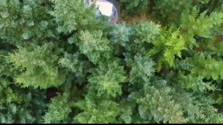 Top 10 Unique Hotels in the World You Won’t Believe Exist