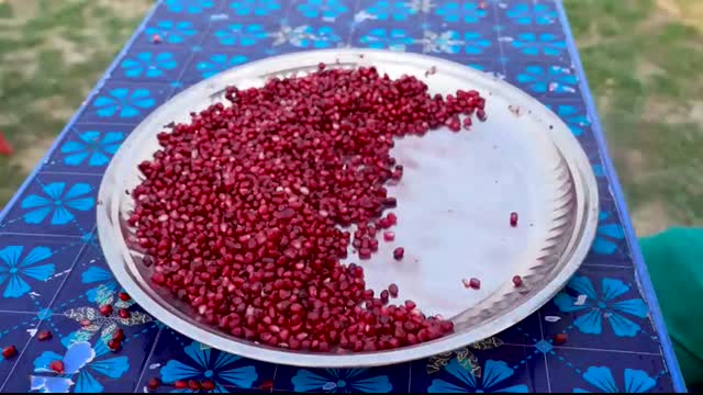 Tui Tui  Comedy Video?Tui tui Best Funny Video 2022?Special New Video?DONT MISS THIS EPISODE