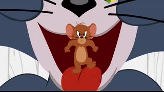 Tom & Jerry   Bellyache   WB Kids