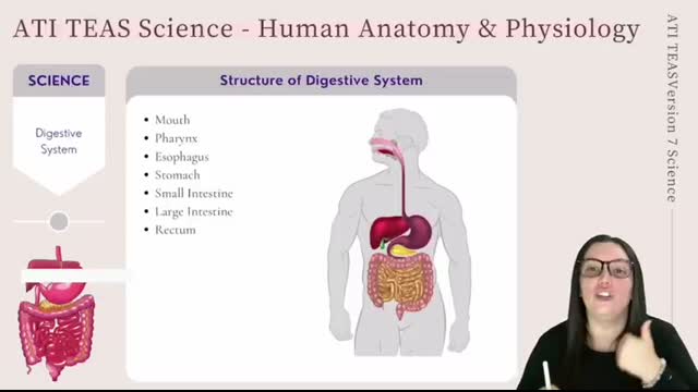 ATI TEAS Science Version 7 Anatomy and Physiology (How to Get the Perfect Score)