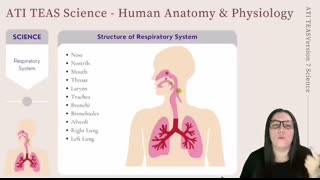 ATI TEAS Science Version 7 Anatomy and Physiology (How to Get the Perfect Score)