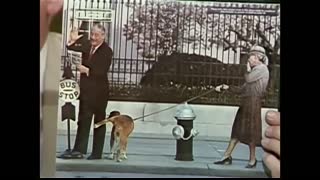 Rodney Dangerfield Carson Tonight Show 1980