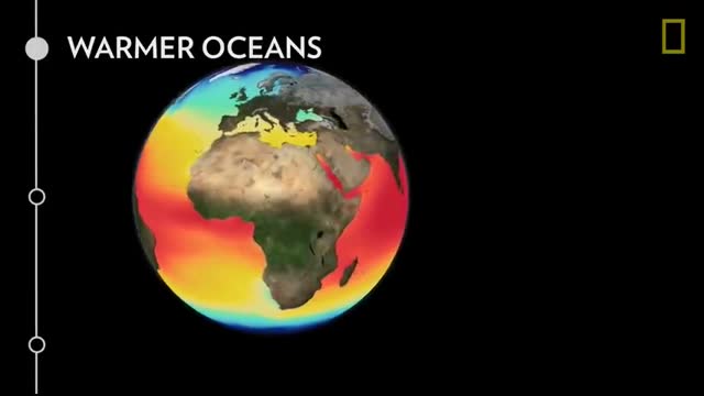 Oceans 101   National Geographic