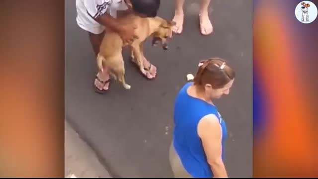 50 Hero Animals That Saved Human Lives ? I Best of 2024!