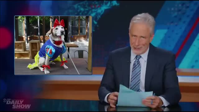 ＂No Kings＂ Protests Defy GOP Expectations & Jon Gives Trump a Royal Inspection ｜ The Daily Show