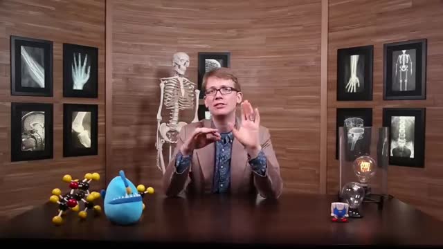 The Nervous System, Part 1 Crash Course Anatomy & Physiology #8