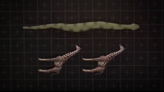 What If Titanoboa Snake Didn't Go Extinct