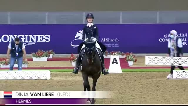 Dressage Disaster Dinja Van Liere Has Her Hands Full With Hermes In The Grand Prix Freestyle